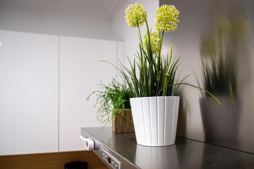 Two-Bedroom Apartment image 9