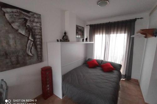  LOFT ALQUILER ALCALALÍ in Alcalalí