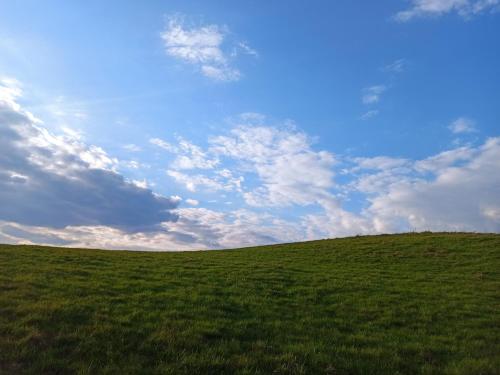 Dom na Mazurach z Widokiem Na Las
