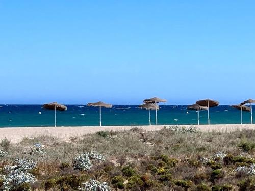 Mediterranea tus momentos junto al mar