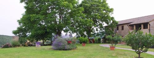 Agriturismo Podere Luchiano - image 12