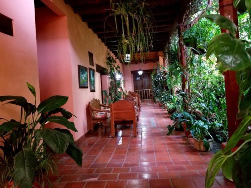 Posada Papa Chepe in La Esperanza