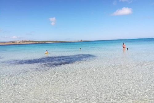 Stintino sardegna delizioso bilocale vista mare