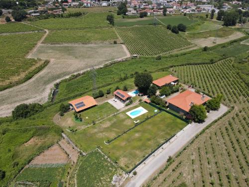 Quinta de Carvalhal - Casa da Vinha