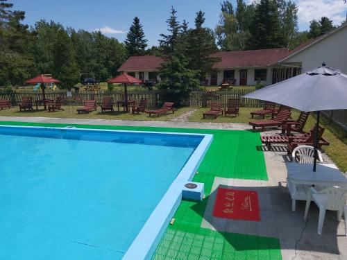 Double Room with Pool View-Carpet Floor 