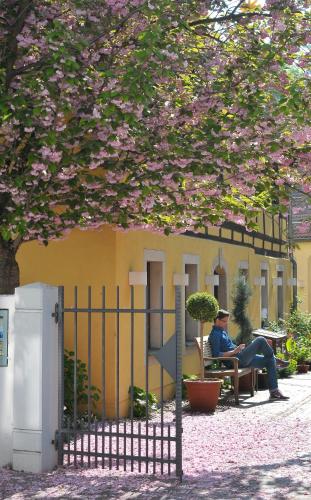 Fährhaus Meißen B&B