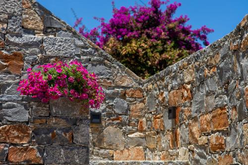 Pakio Luxury Villa : Private Cretan Holidays