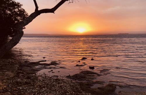 Paradise Beach Apartments Jervis Bay