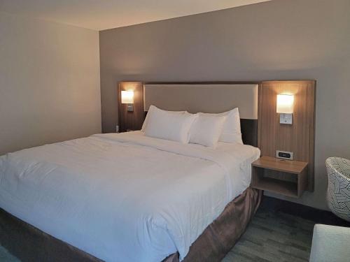 Comfort Inn & Suites Wyomissing-Reading