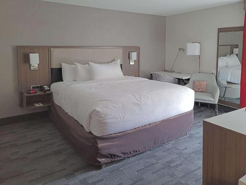 Comfort Inn & Suites Wyomissing - Reading - image 5