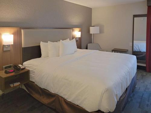 Comfort Inn & Suites Wyomissing-Reading