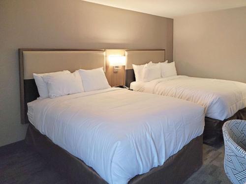 Comfort Inn & Suites Wyomissing-Reading