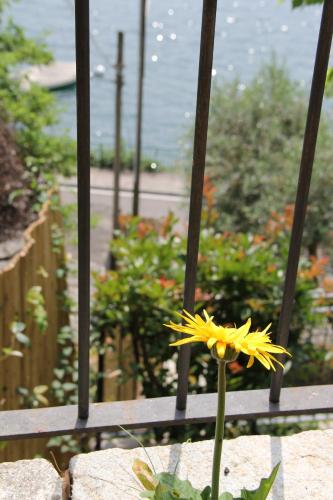 Foresteria Lago di Como