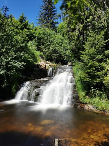 Black Forest Living - Todtnauberg