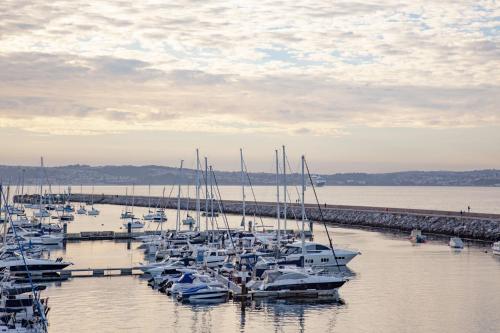 Golden Vanity, Maritime Suites, Brixham