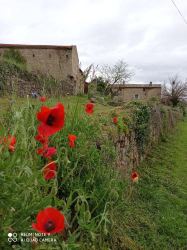 la ferme de fenivou - Chambre d'hôtes - Boulieu-lès-Annonay