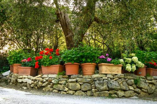 B&B Villa Giulia – Saturnia, ND
