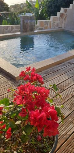 Casa vue mer - piscine privée et chauffée - Destination St-Leu