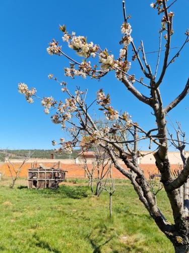 Casa Rural Las Águedas