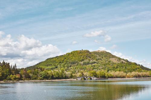Brambles of Inveraray - image 5
