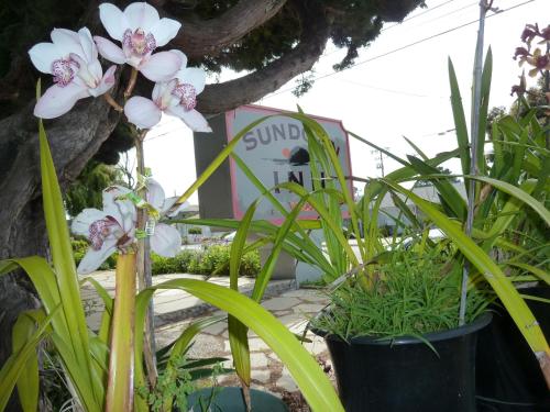 Sundown Inn of Morro Bay - 출입구