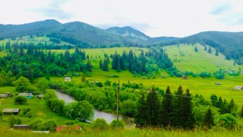 Садиба «Пасіка» відпочинок в Карпатах, Zelena