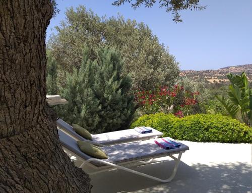 Sivas Hill Bungalows - image 12