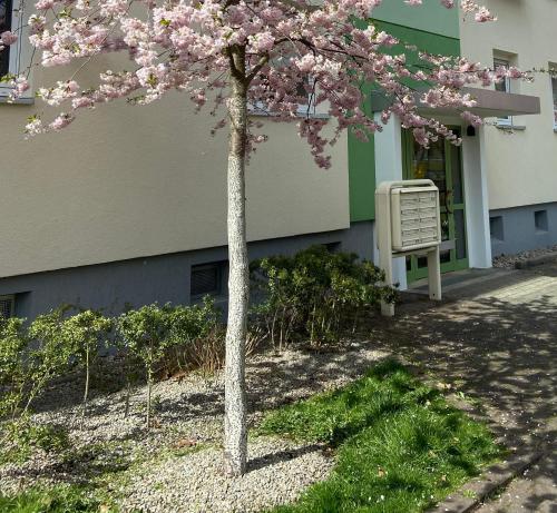 Schone kleine Wohnung 12.4km von Drebkau entfernt