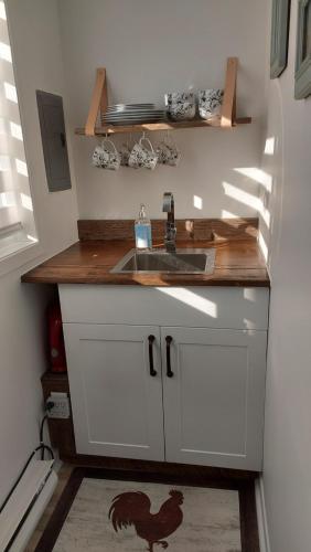 Chalet Le Semeur in Saint-Elie-De-Caxton (QC)