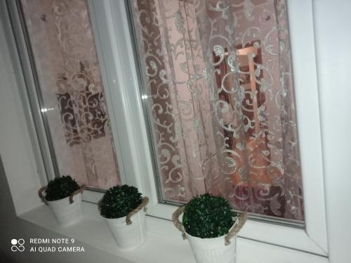 Apartman Nina