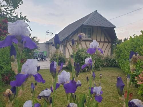 Gîte YZEN près de Honfleur