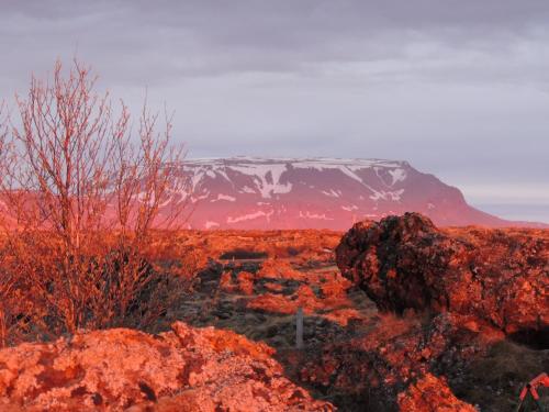 Dimmuborgir Guesthouse