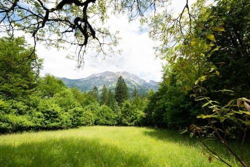 Cottages Kravanja