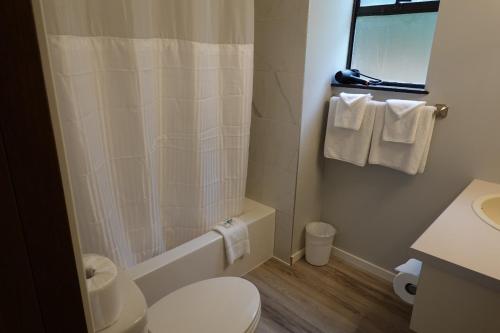 Skylite Motel in Parksville, Canada