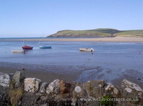 Blaenpant Bach - image 7