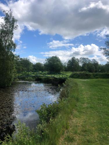 Gracelands Glamping in Templepatrick