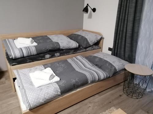 Apartmán 88, Červená Voda (foto 3)