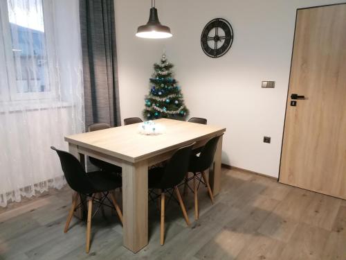 Apartmán 88, Červená Voda (foto 5)