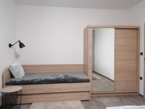 Apartmán 88, Červená Voda (foto 7)