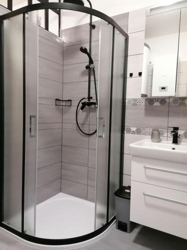 Apartmán 88, Červená Voda (foto 9)