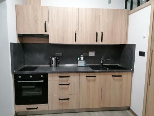 Apartmán 88, Červená Voda (foto 10)