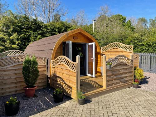 Conifer Cabins 5