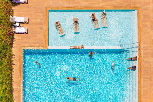Hotel Don Pancho - Adults Only - image 10