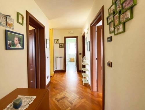 la madonnina - Accommodation - Querceta