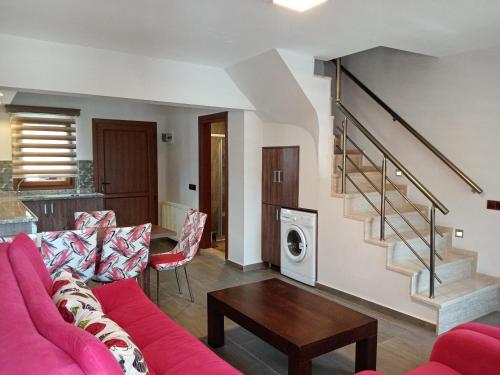 Dolphin Apart Hotel - image 3