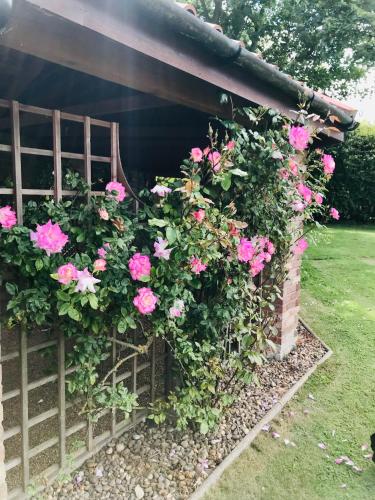 Charming Hen Cottage Countryside Retreat Lincoln