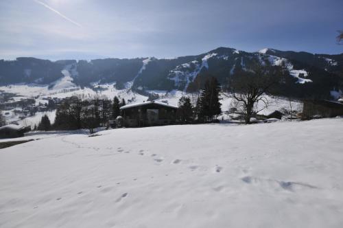 Auhof - image 12