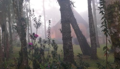 Bosque das Araucárias – khách sạn tại Parque Rancho Alegre