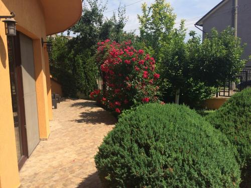 Vila Patricia - image 2
