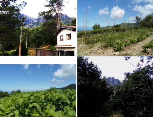 Fabulagreen gîte à louer Roggiano Gravina